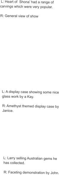 L: Heart of  Shona’ had a range of carvings which were very popular.  R: General view of show                L: A display case showing some nice glass work by a Kay.  R: Amethyst themed display case by Janice.          L: Larry selling Australian gems he has collected.  R: Faceting demonstration by John.