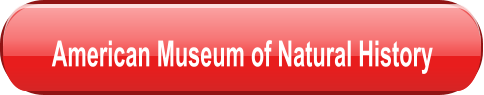 American Museum of Natural History