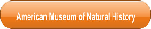 American Museum of Natural History
